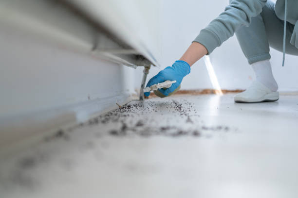 Trusted Atlantic, IA Pest Control Experts